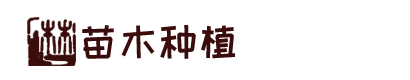 首页--竞技宝-竞技宝官网DOTA2,LOL,CSGO电竞赛事及体育赛事竞猜